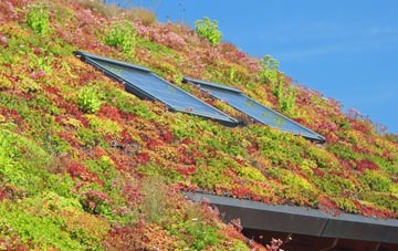 Pantperthog living roof systems
