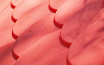 Pantperthog plastic roof costs